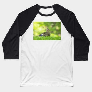 Duck, You Sucker Baseball T-Shirt